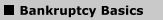 Bankruptcy Basics